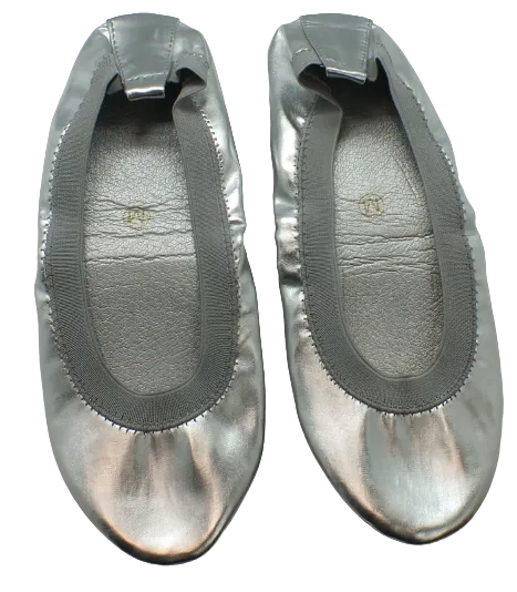 Silver Shoes